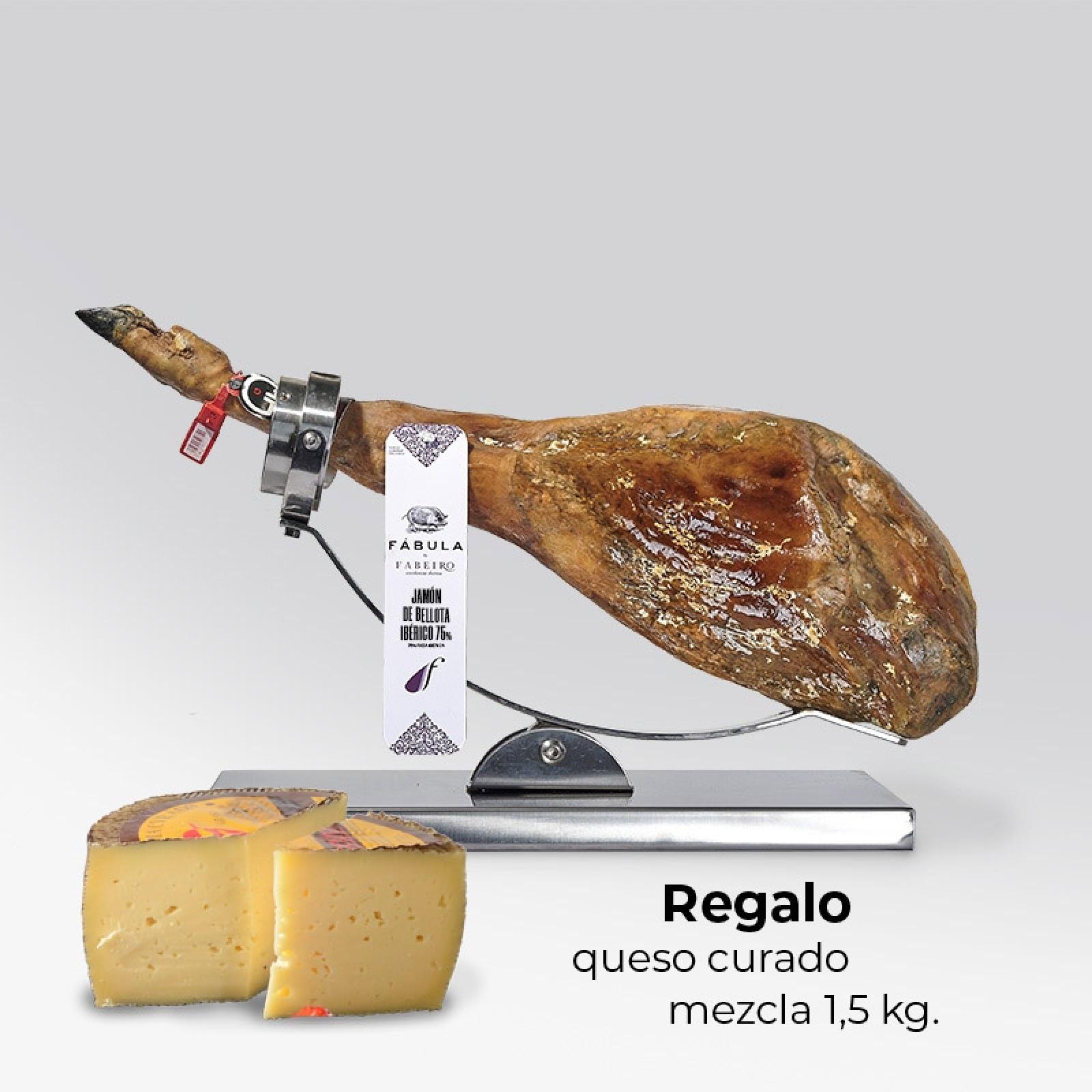 Jamón de Bellota 75% Ibérico Salamanca 2018 - 8,5 kg. + Regalo queso