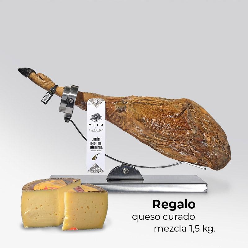 Jamón de Bellota 100% Ibérico Extremadura 2017 - 8 kg. + Regalo queso
